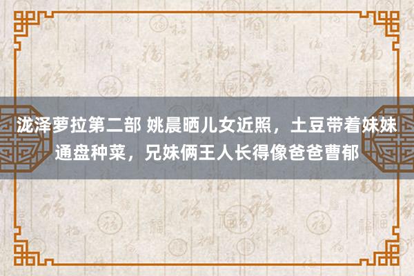 泷泽萝拉第二部 姚晨晒儿女近照，土豆带着妹妹通盘种菜，兄妹俩王人长得像爸爸曹郁