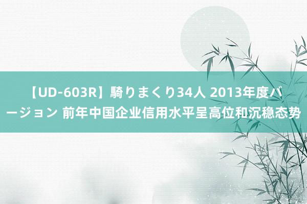 【UD-603R】騎りまくり34人 2013年度バージョン 前年中国企业信用水平呈高位和沉稳态势