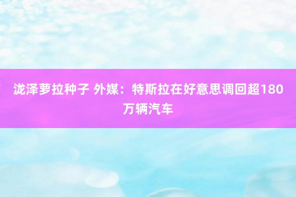 泷泽萝拉种子 外媒：特斯拉在好意思调回超180万辆汽车