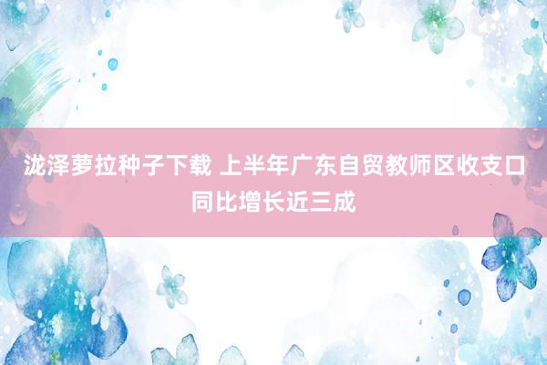 泷泽萝拉种子下载 上半年广东自贸教师区收支口同比增长近三成