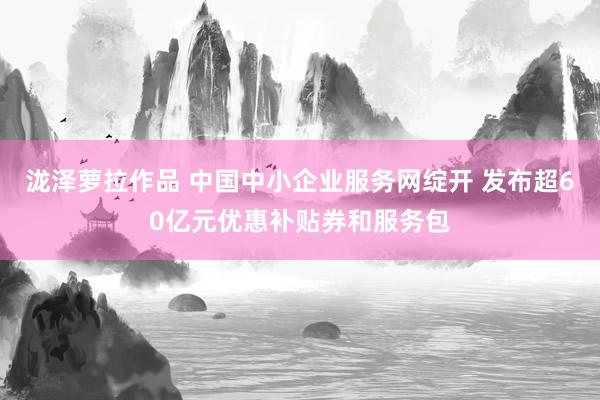 泷泽萝拉作品 中国中小企业服务网绽开 发布超60亿元优惠补贴券和服务包