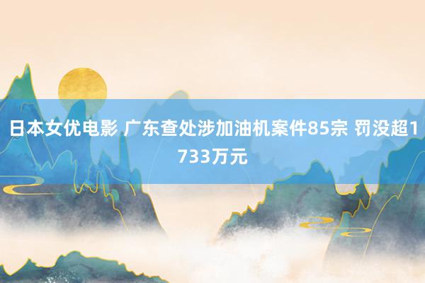 日本女优电影 广东查处涉加油机案件85宗 罚没超1733万元