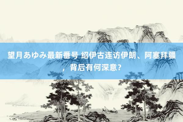 望月あゆみ最新番号 绍伊古连访伊朗、阿塞拜疆，背后有何深意？