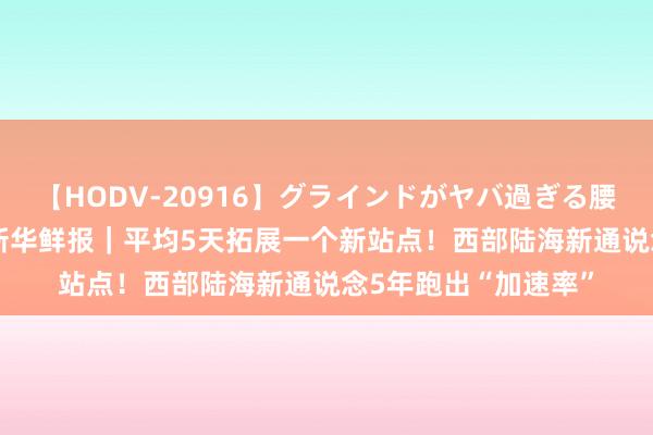 【HODV-20916】グラインドがヤバ過ぎる腰振り騎乗位 4時間 新华鲜报｜平均5天拓展一个新站点！西部陆海新通说念5年跑出“加速率”