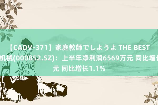 【CADV-371】家庭教師でしようよ THE BEST 2 石化机械(000852.SZ)：上半年净利润6569万元 同比增长1.1%