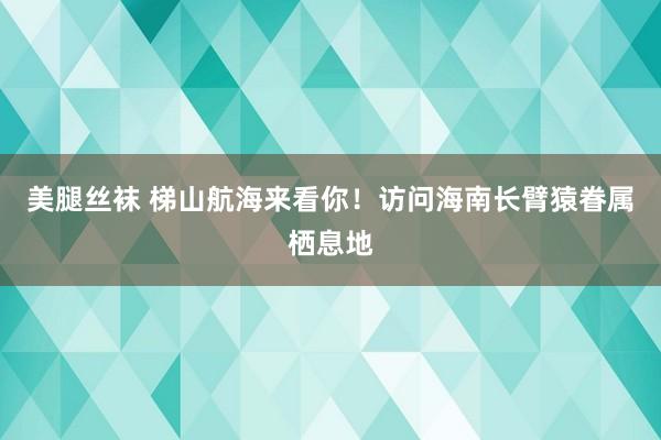 美腿丝袜 梯山航海来看你！访问海南长臂猿眷属栖息地