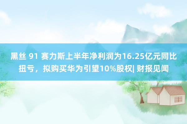 黑丝 91 赛力斯上半年净利润为16.25亿元同比扭亏，拟购买华为引望10%股权| 财报见闻