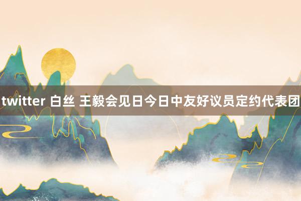 twitter 白丝 王毅会见日今日中友好议员定约代表团