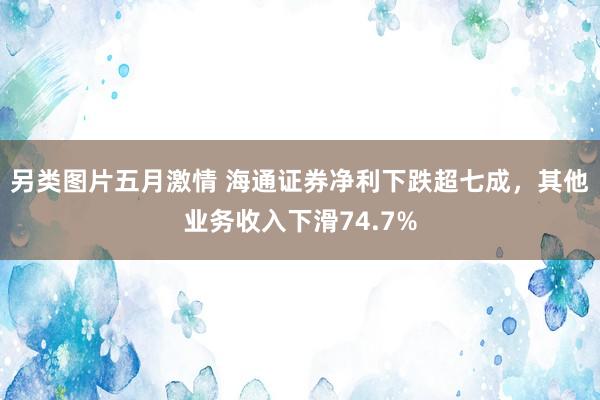 另类图片五月激情 海通证券净利下跌超七成，其他业务收入下滑74.7%