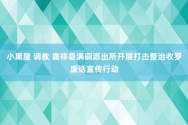 小黑屋 调教 嘉祥县满硐派出所开展打击整治收罗废话宣传行动