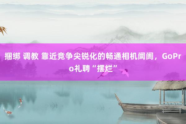 捆绑 调教 靠近竞争尖锐化的畅通相机阛阓，GoPro礼聘“摆烂”