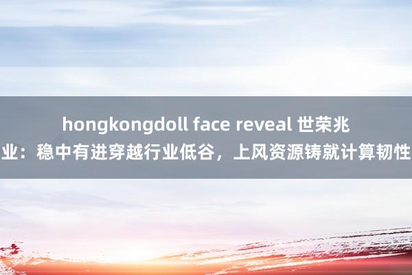 hongkongdoll face reveal 世荣兆业：稳中有进穿越行业低谷，上风资源铸就计算韧性