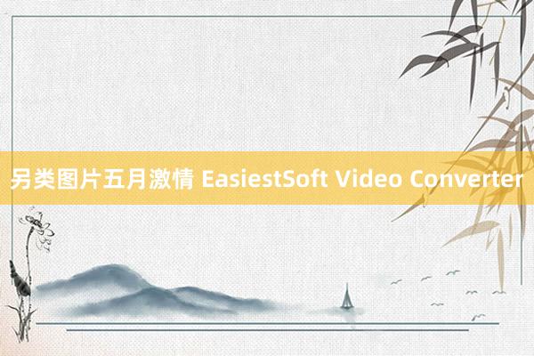 另类图片五月激情 EasiestSoft Video Converter