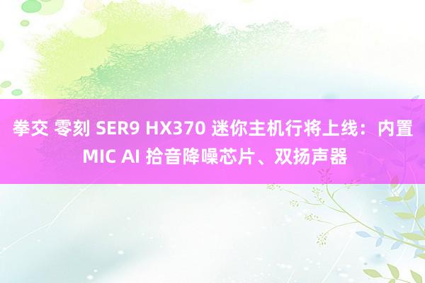 拳交 零刻 SER9 HX370 迷你主机行将上线：内置 MIC AI 拾音降噪芯片、双扬声器