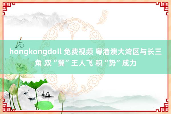 hongkongdoll 免费视频 粤港澳大湾区与长三角 双“翼”王人飞 积“势”成力