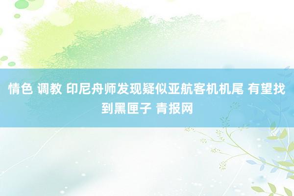 情色 调教 印尼舟师发现疑似亚航客机机尾 有望找到黑匣子 青报网